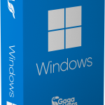 Windows 10 Lisansı