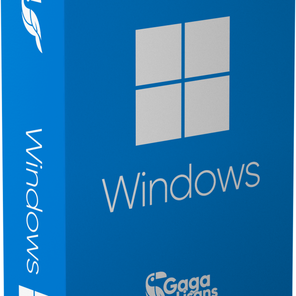 Windows 10 Lisansı